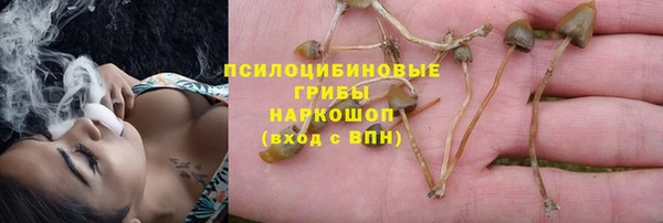 дурь Осташков