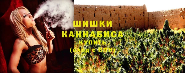 дурь Осташков