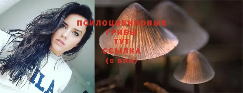 Галлюциногенные грибы Magic Shrooms  OMG ссылка  Клинцы 