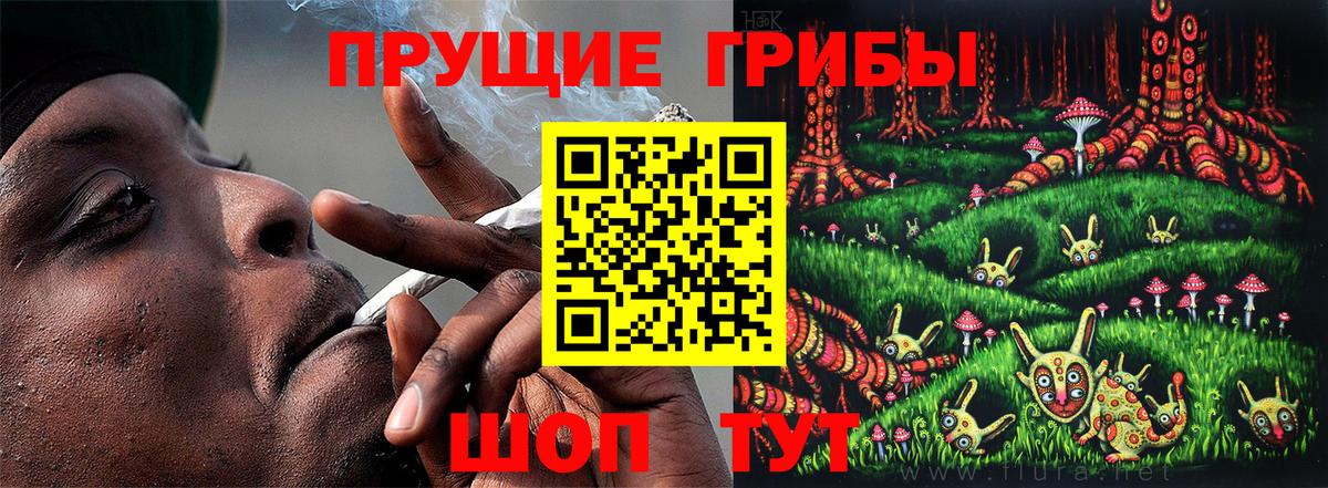 Клинцы  Псилоцибиновые грибы прущие грибы  Вход с VPN  Псилоцибиновые грибы Psilocybine cubensis 